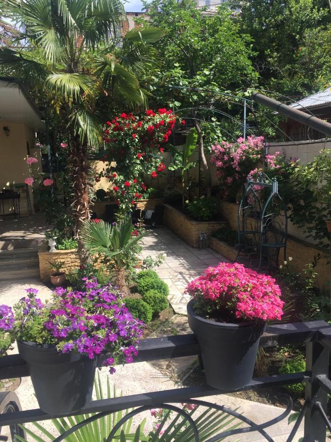 House 41 Bed & Breakfast Tbilisi Ngoại thất bức ảnh