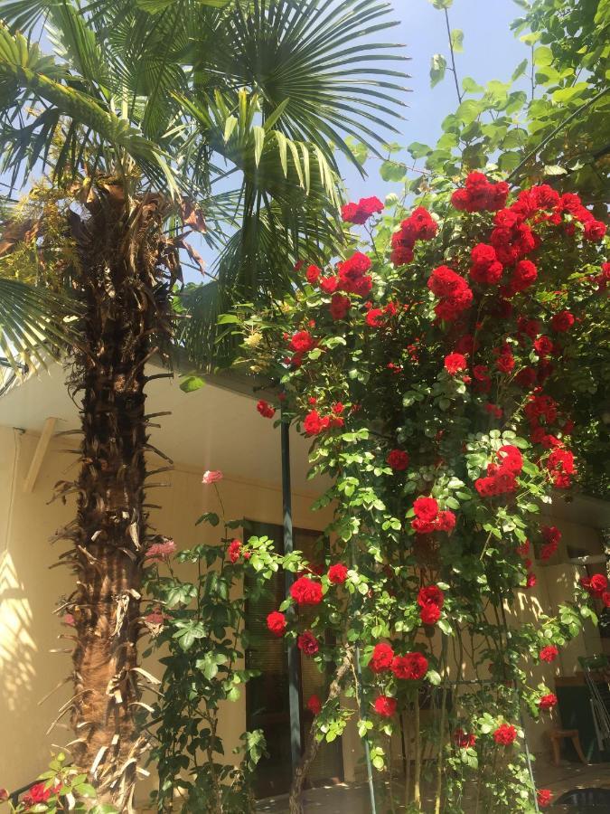 House 41 Bed & Breakfast Tbilisi Ngoại thất bức ảnh